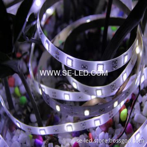 3528SMD Natural White High Brightness Waterproof LED Strips